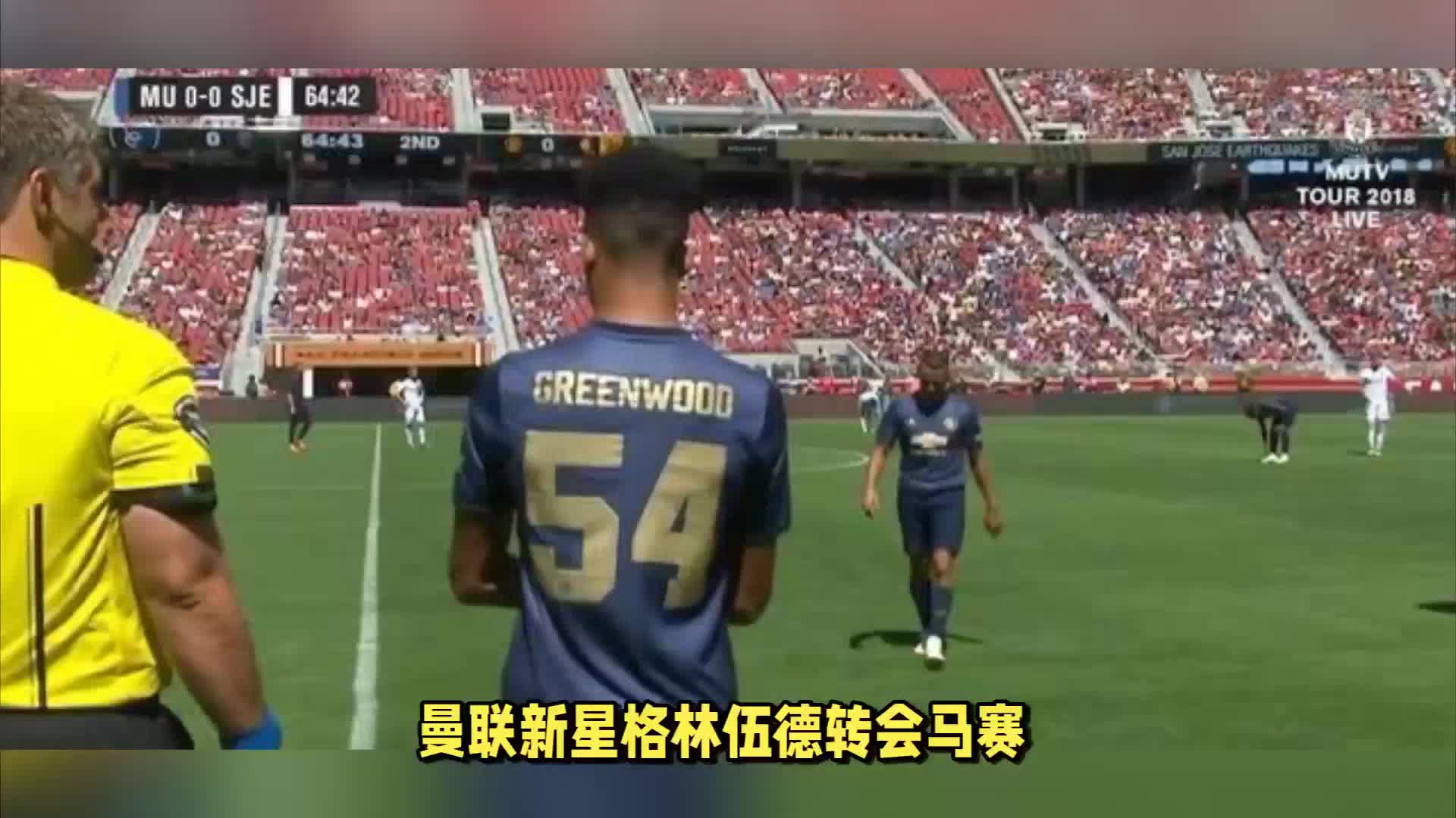 开始接触帆