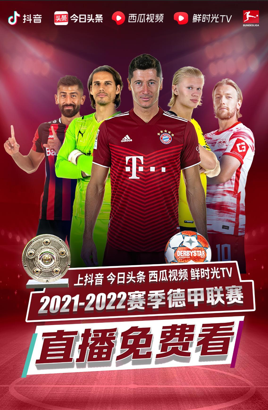 系高度契